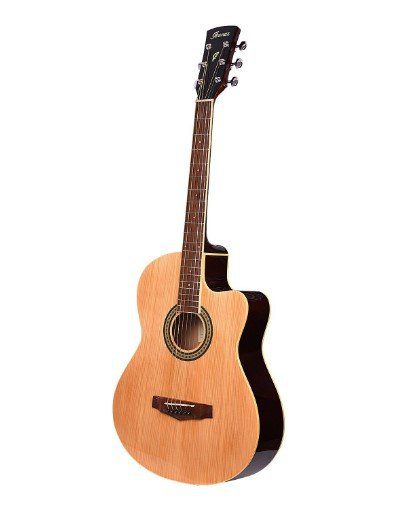 Best Acoustic Guitar Price in India Top 5 10